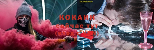 МДПВ Алексин